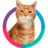 transparency_cat