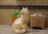 wood_cat_2