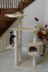 wood_cat_7